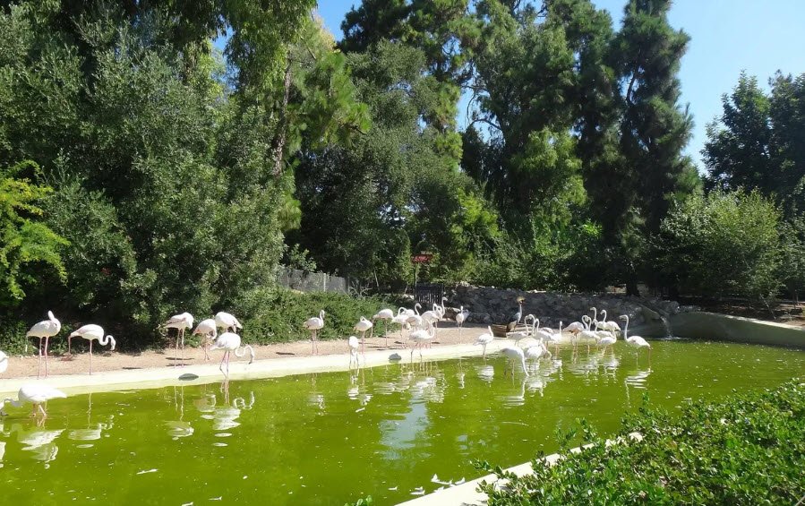 Zoobotánico Jerez, Spain